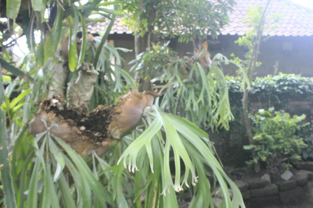 Umah De Arlika Ubud 외부 사진
