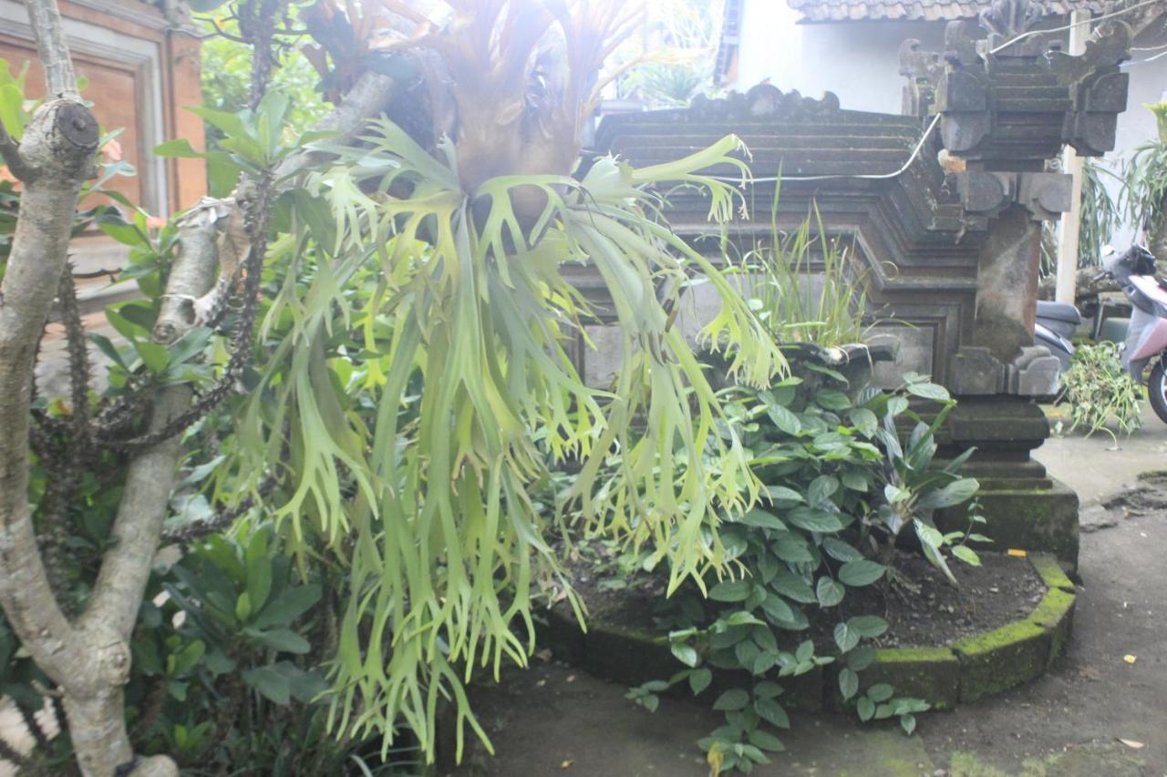 Umah De Arlika Ubud 외부 사진