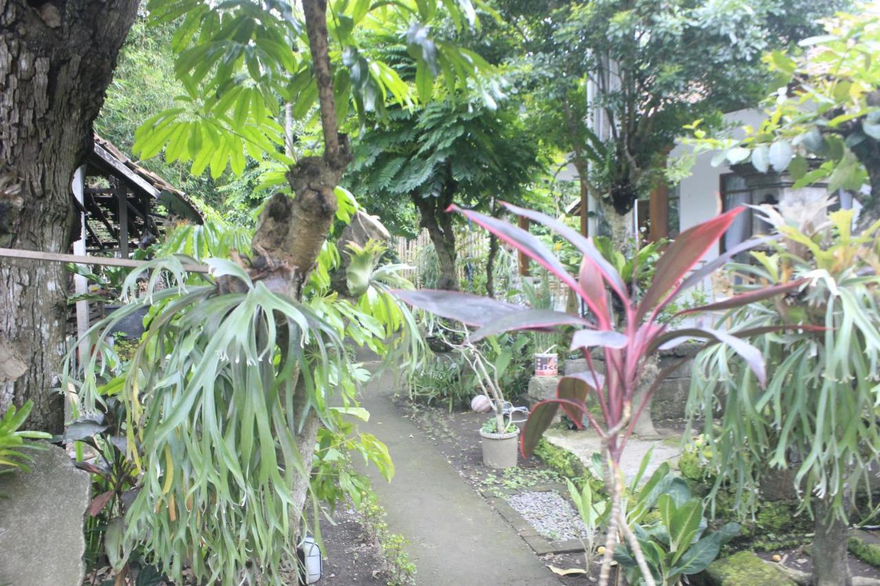 Umah De Arlika Ubud 외부 사진